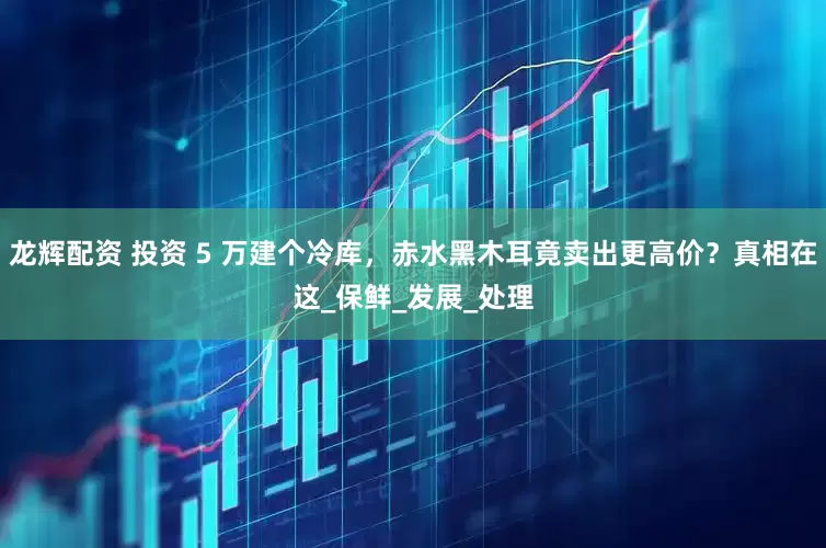 龙辉配资 投资 5 万建个冷库，赤水黑木耳竟卖出更高价？真相在这_保鲜_发展_处理