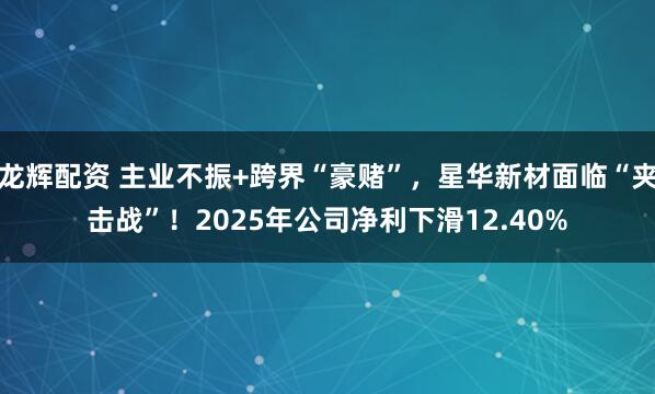 龙辉配资 主业不振+跨界“豪赌”，星华新材面临“夹击战”！2025年公司净利下滑12.40%